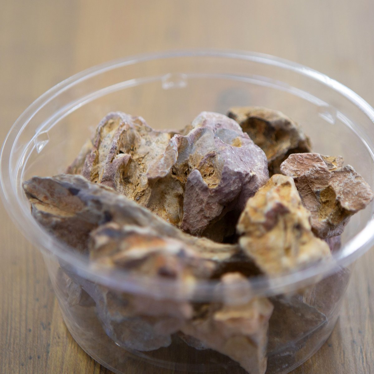 素材】気孔石｜3～10cmサイズ｜12cmパック | shida design ONLINE