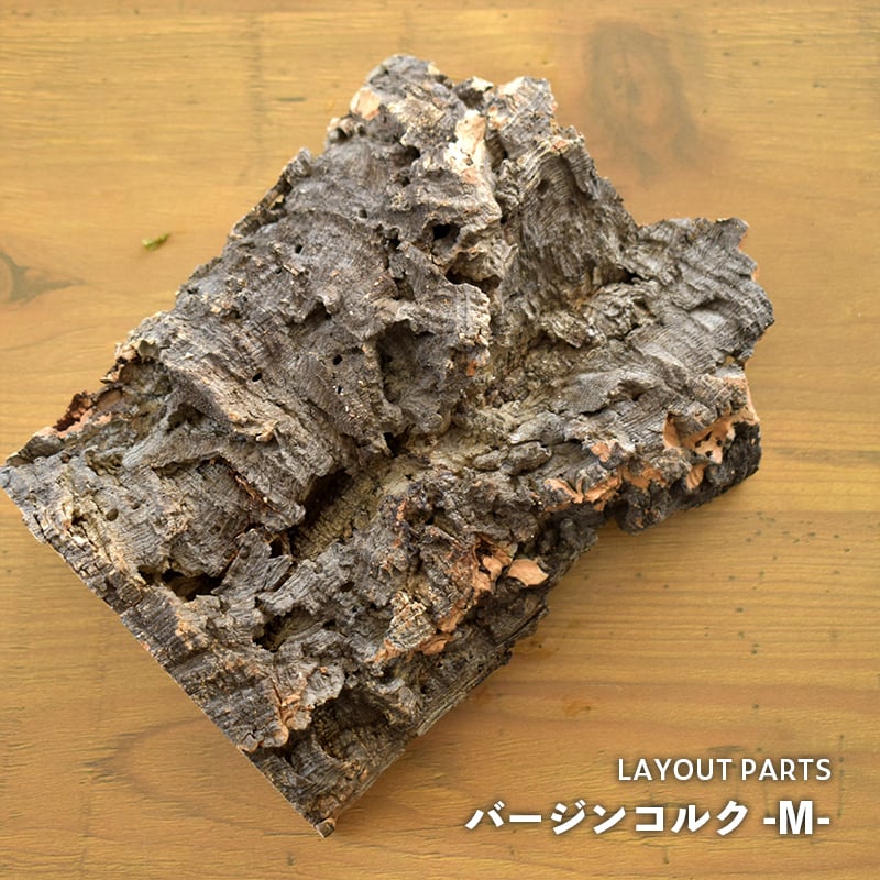 レイアウト素材】バージンコルク|Mサイズ|15~20cm | shida レイアウト素材】バージンコルク|Mサイズ|15~20cm | shida