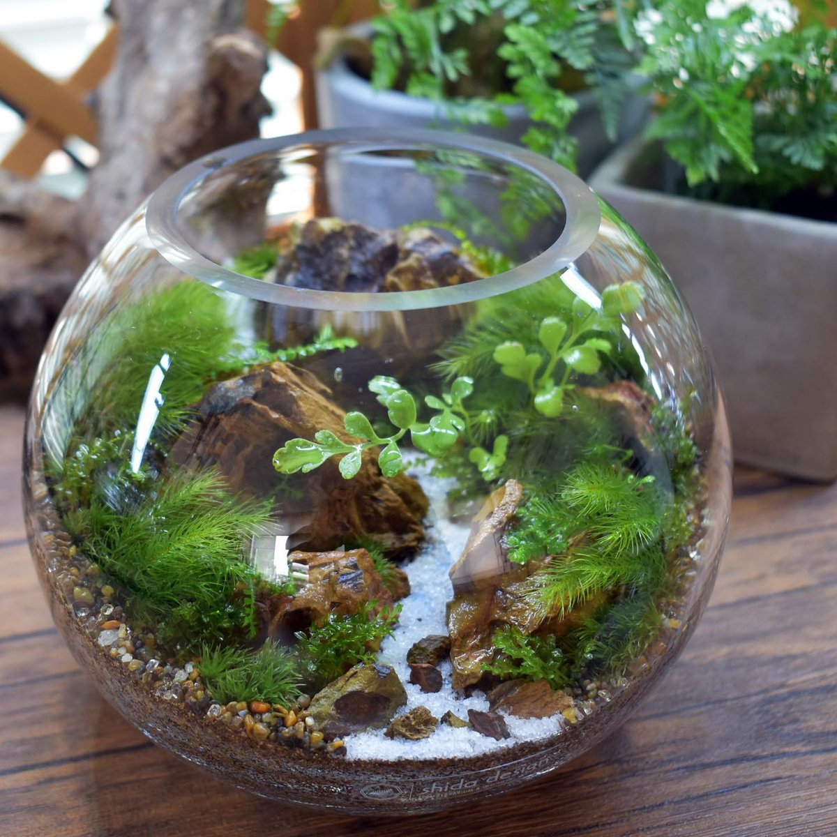 ガラス容器】ガラスボウルL｜W150mm×H120mm｜専用ガラスフタ付き