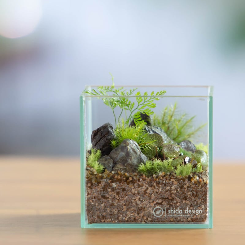 美品！YOSA テラキューブ　ミトン付き ガラス容器】ガラスキューブM｜W100mm×H100mm｜専用ガラスフタ