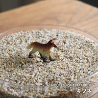 【フィギュア】キツネ｜固定ピン付き｜テラリウム用