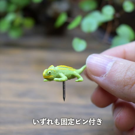 【フィギュア】キーウィ｜固定ピン付き｜テラリウム用