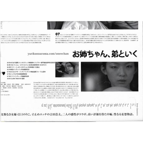 映画『お姉ちゃん、弟といく』DVD＆B2ポスターパンフレット セット