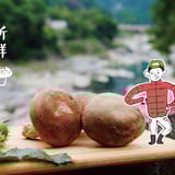 新鮮しいたけおかもとのオンラインストア