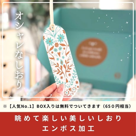 今日を静かに守るための文房具BOX / 朝つゆのメロディー