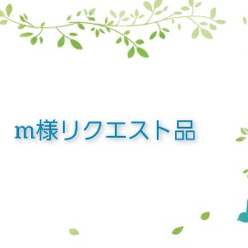 m様リクエスト品 | OLLY
