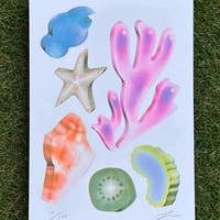 『砂浜にて』 FU