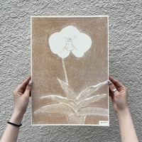 兰兰与我 _ brown　A3poster