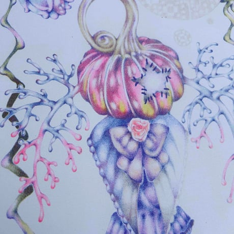 『Pumpkin Phantom』 Ema Gaspar