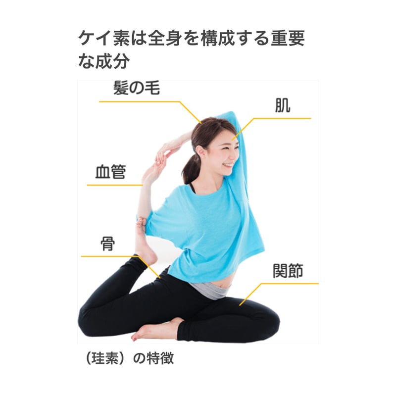 DDD水溶性ケイ素☆【Triple D】リニューアル［生体マトリックスウモ