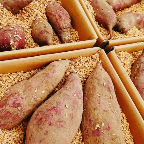 土にこだわって育てたシルクスイート（生芋）「2kg」