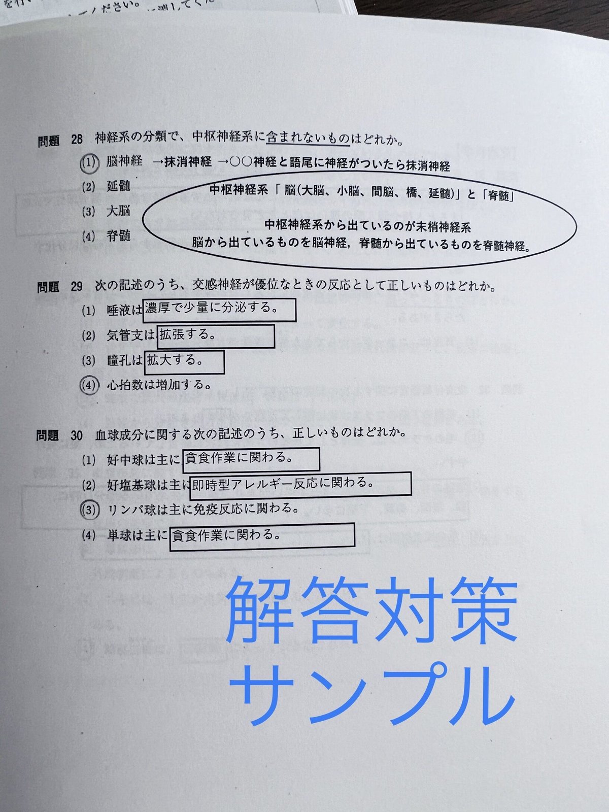 美容師国家試験に役立つ筆記対策＆過去問用解答シート無料プレゼント