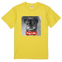 Pug Life
