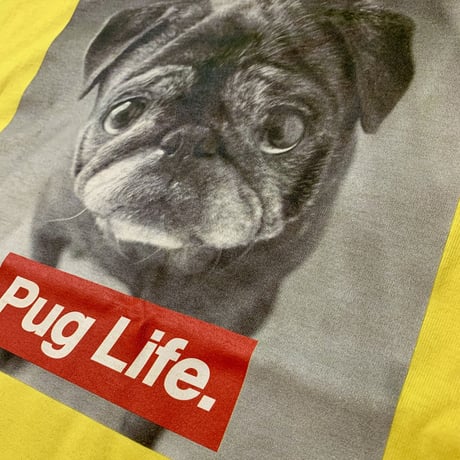 Pug Life