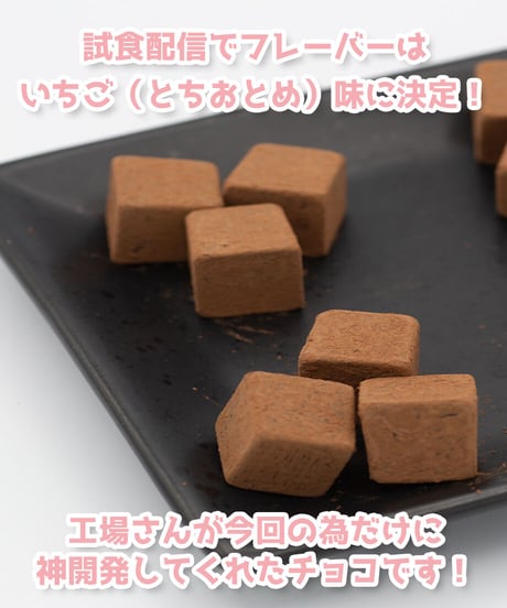 【深層組バレンタイン2022】チョコレートギフト DWU