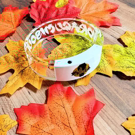 従井ノラ | STORES