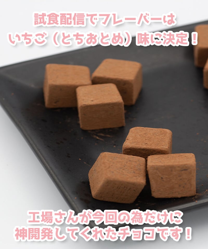 深層組バレンタイン2022】チョコレートギフト なまほしちゃん