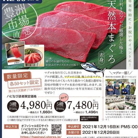 【数量限定】豊洲直送　天然本まぐろ（赤身）5柵（計900ｇ）