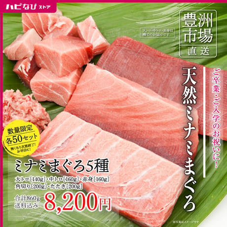 【数量限定】天然ミナミまぐろ 5種類セット