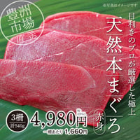 【数量限定】豊洲直送　天然本まぐろ（赤身）3柵（計540ｇ）