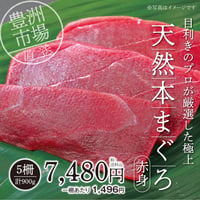 【数量限定】豊洲直送　天然本まぐろ（赤身）5柵（計900ｇ）