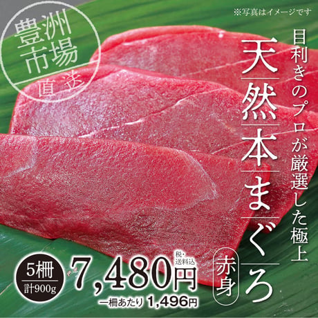 【数量限定】豊洲直送　天然本まぐろ（赤身）5柵（計900ｇ）