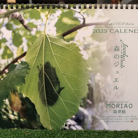 🐸数量限定🐸2025年カレンダーMORIAO～森のジュエル✨～