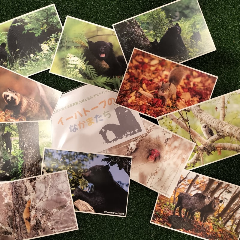 ポストカード『イーハトーブのなかまたち』(11枚セット) | ZOOMO SHOP