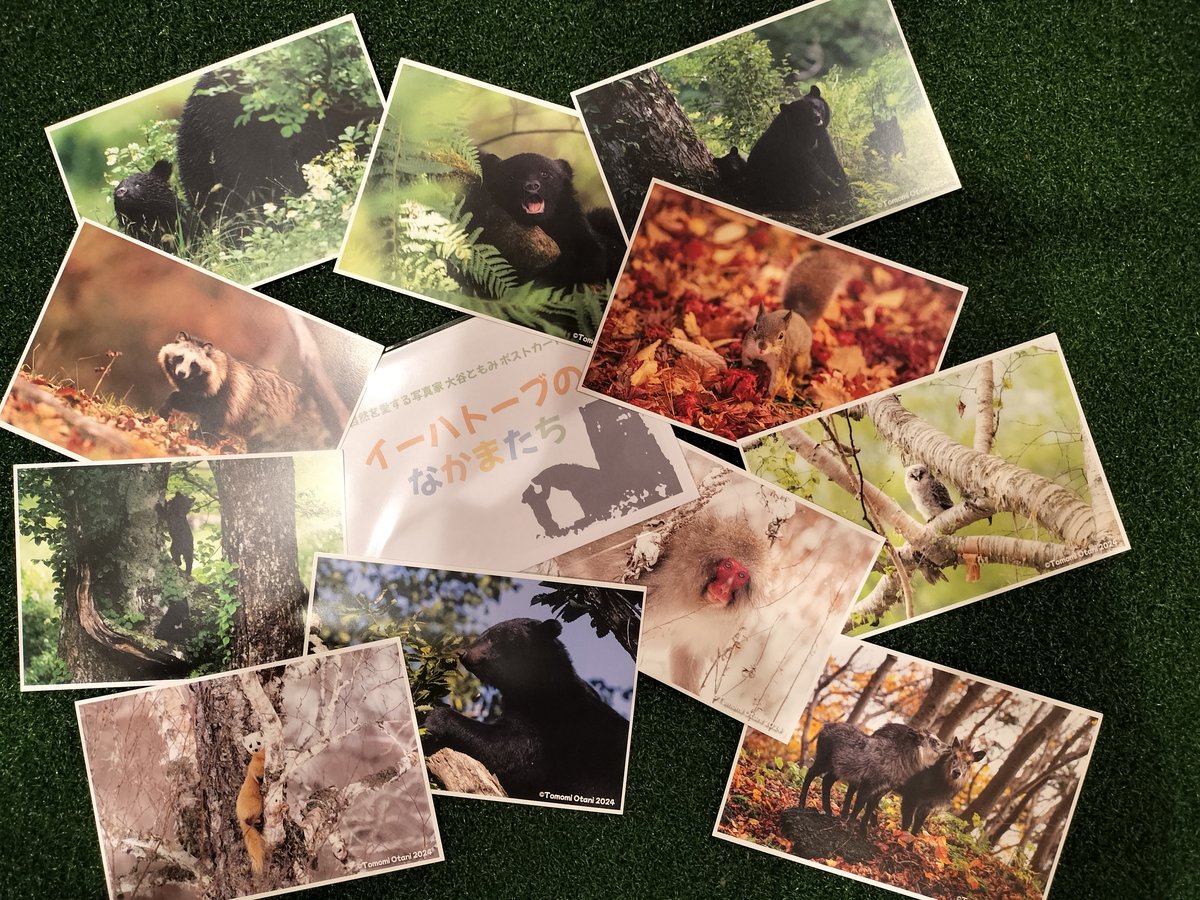 ポストカード『イーハトーブのなかまたち』(11枚セット) | ZOOMO SHOP