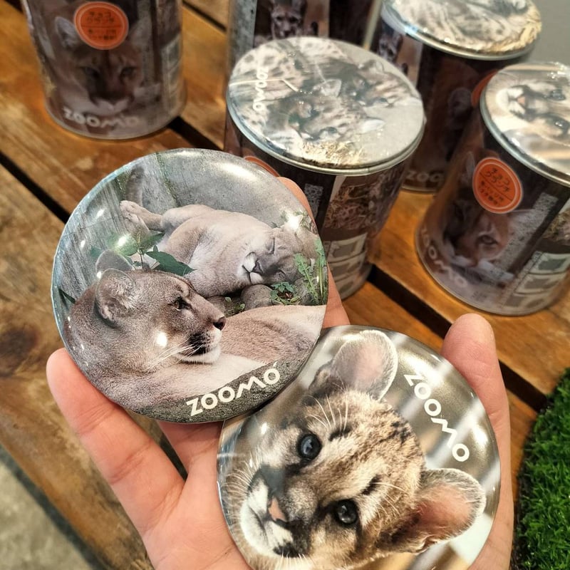 ピューマのクランチ缶コンプリートセット(全5種類) | ZOOMO SHOP -Online-