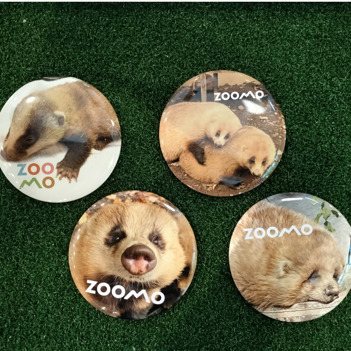 ニホンアナグマBIG缶バッジセット | ZOOMO SHOP -Online-