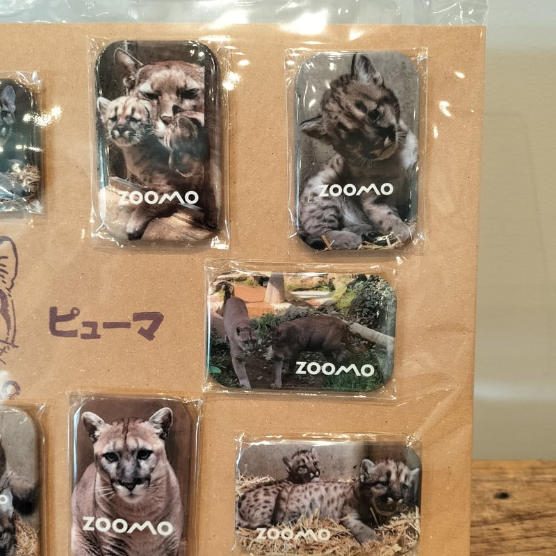 おまけ観賞用 ピューマ一家の思い出てんこ盛り✨缶マグネット10種セット | ZOOMO