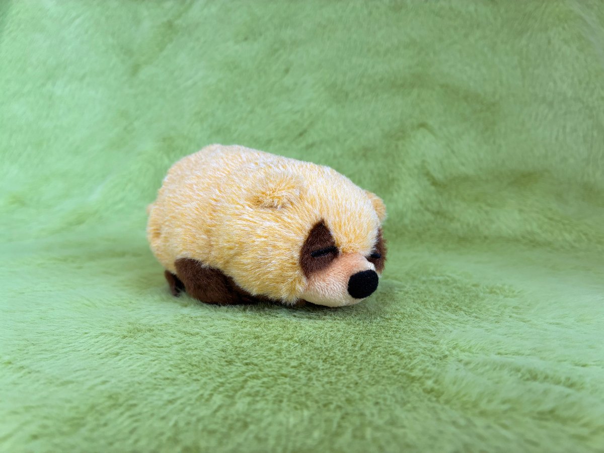 ぽちゃまるアナグマ | ZOOMO SHOP -Online-