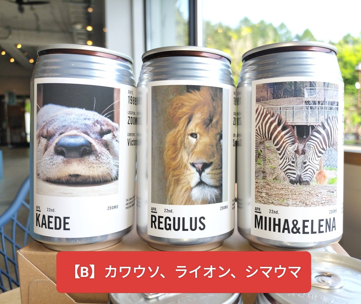 アニマルラベル缶3本セット(ウーロン茶) | ZOOMO SHOP -Online-