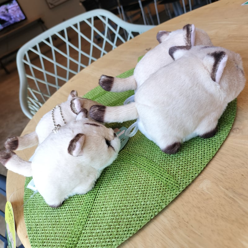 ぽちゃまるピューマ マスコット “タフ”＆“ニーナ”ペアセット(ボール