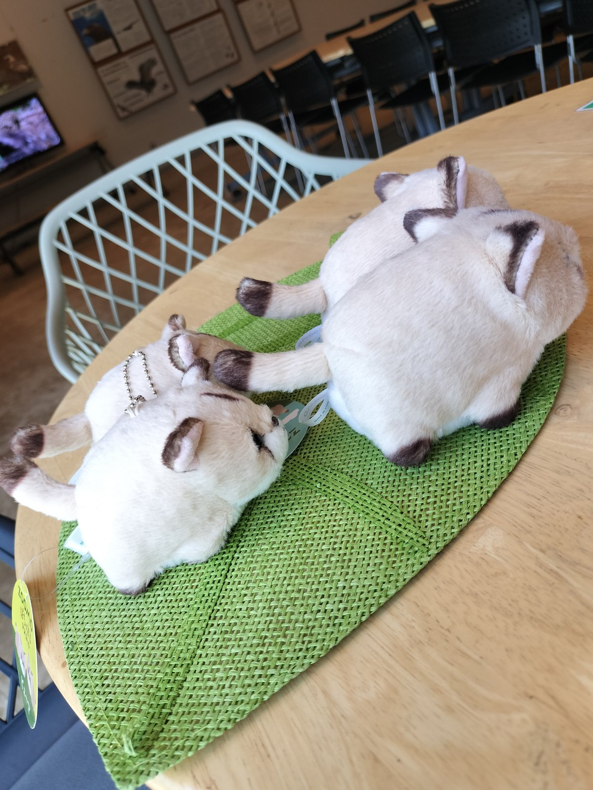 ぽちゃまるピューマ マスコット “タフ”＆“ニーナ”ペアセット(ボール