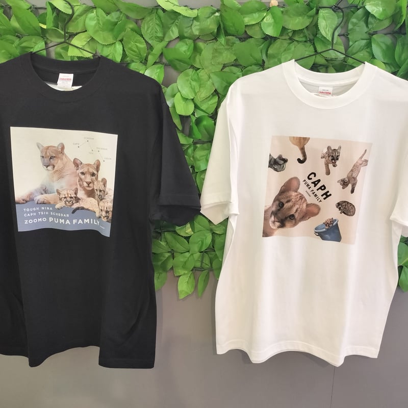 Spitz Tシャツ・トートバッグ・ぬいぐるみセット 書籍「ピューマのかぞく」発売記念☆トートバッグ&Tシャツセット