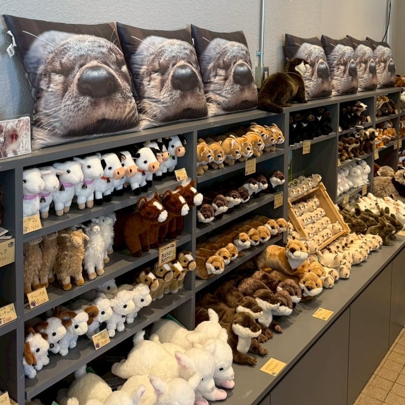 でっかいカエデとお昼寝クッション | ZOOMO SHOP -Online-