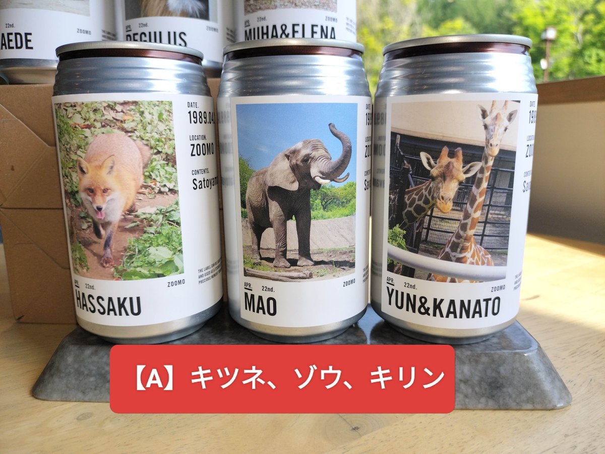 アニマルラベル缶3本セット(ウーロン茶) | ZOOMO SHOP -Online-