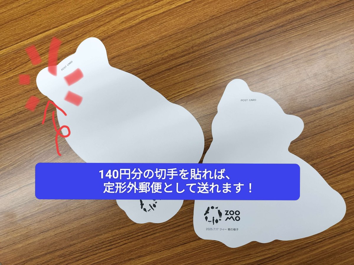 超豪華な11枚‼️BIGダイカットポストカードセット | ZOOMO SHOP -Online-