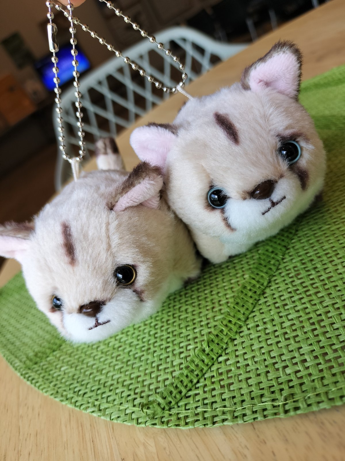 ぽちゃまるピューマ マスコット “タフ”＆“ニーナ”ペアセット(ボール