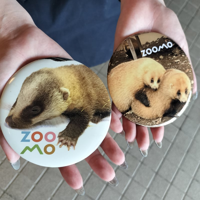 ニホンアナグマBIG缶バッジセット | ZOOMO SHOP -Online-
