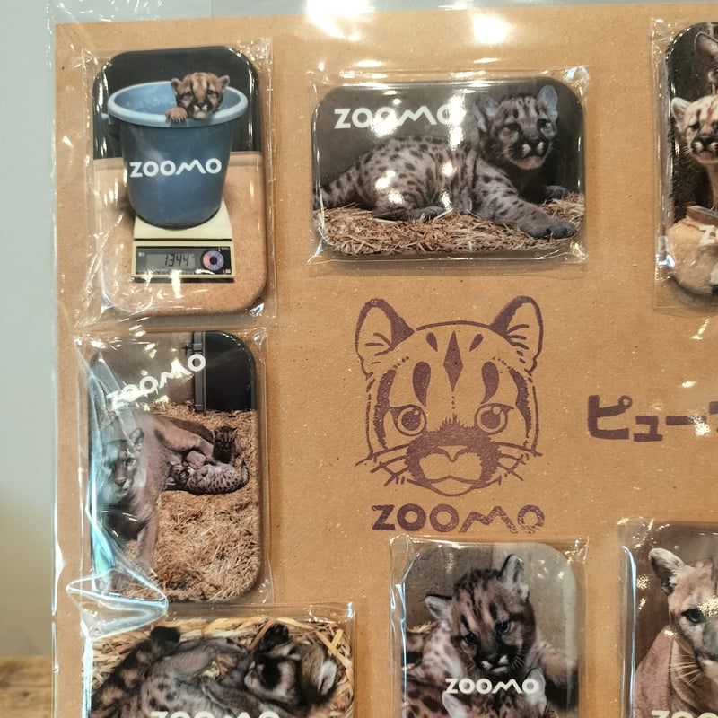 再販！】ピューマ一家の思い出てんこ盛り✨缶マグネット10種セット