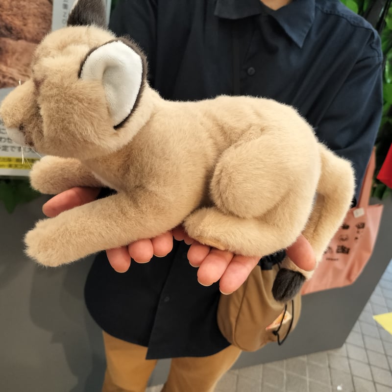 ZOOMO ANIMAL PUMA タフorニーナ | ZOOMO SHOP -Online-
