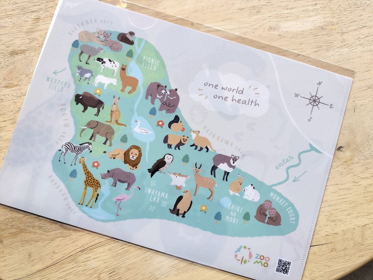 コントレイル ぬいぐるみ 色紙 クリアファイルセット 新品 名探偵コナン ホロクリアファイルセット メモリアル/イルミネーション