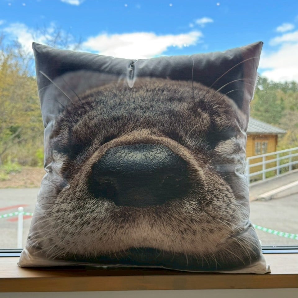 でっかいカエデとお昼寝クッション | ZOOMO SHOP -Online-