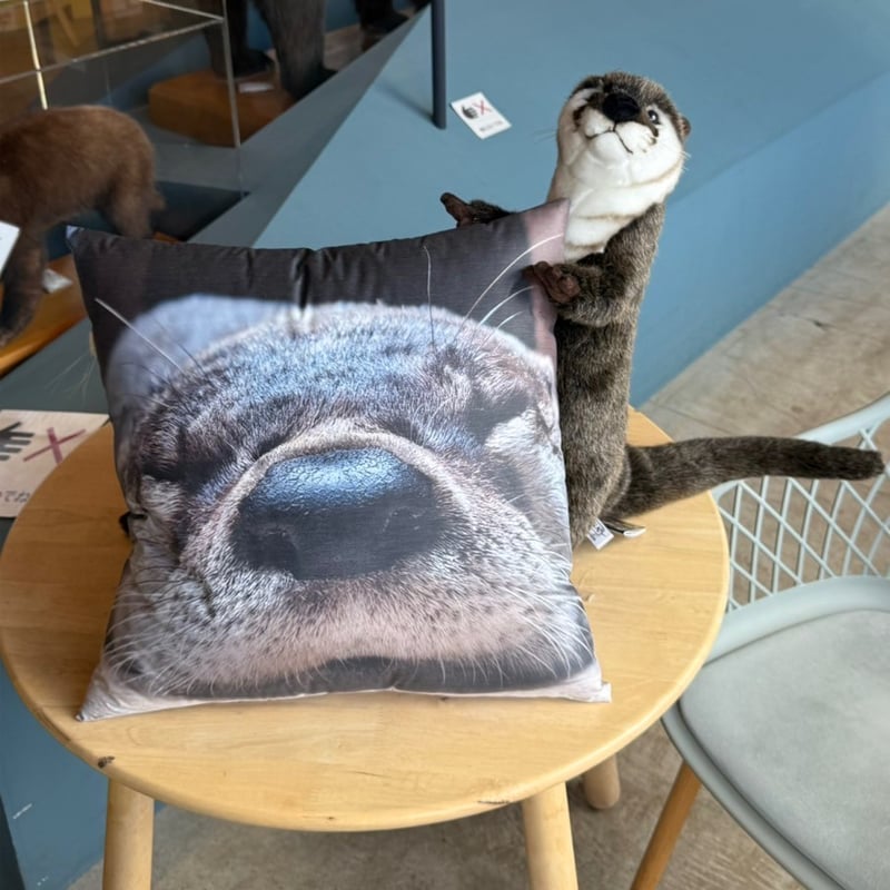 でっかいカエデとお昼寝クッション | ZOOMO SHOP -Online-