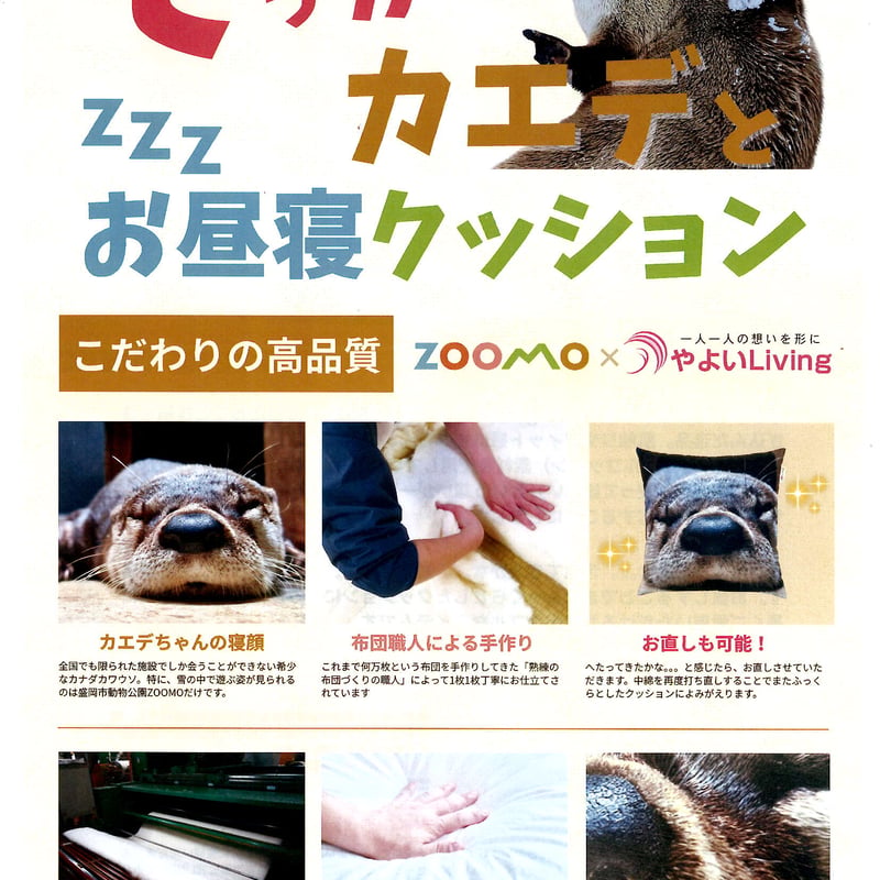 でっかいカエデとお昼寝クッション | ZOOMO SHOP -Online-