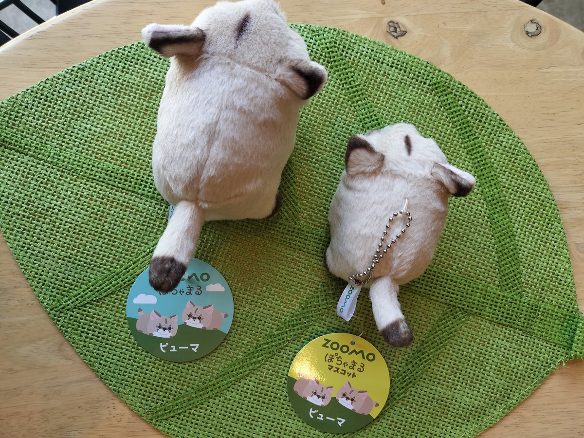 ぽちゃまるピューマ マスコット “タフ”＆“ニーナ”ペアセット(ボール