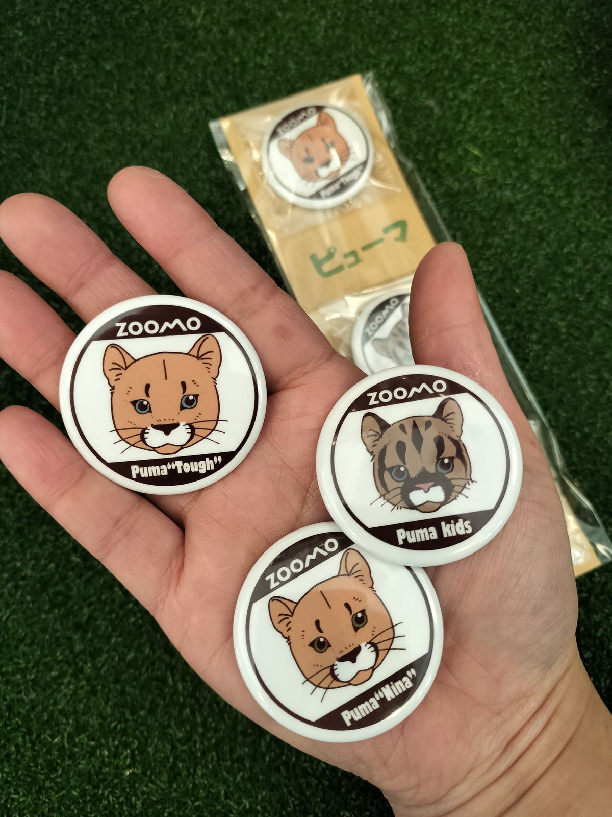 イラスト缶バッジ《ピューマ親子セット》 | ZOOMO SHOP -Online-